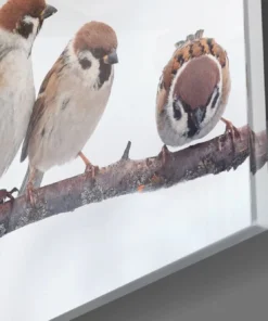 Alternative view of Vogels Glasschilderij