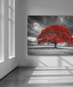 ALIVA 1395 rode boom canvas schilderij e