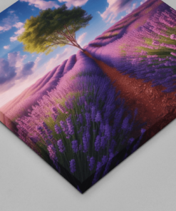 OEFE 1239 lavendelveld canvas schilderij d