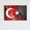 ALIVA 1401 turkse vlag canvas schilderij