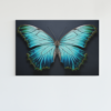 ALIVA 1469 vlinder canvas schilderij