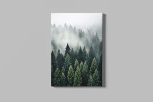 ALIVA 1472 het bos canvas schilderij