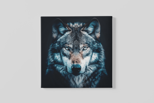 Wolf Vierkant Schilderij
