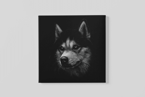 Hond Husky Canvas Schilderij