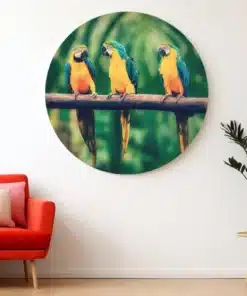 SOLIVA 1021 rond schilderij met papegaaien print op dibond a