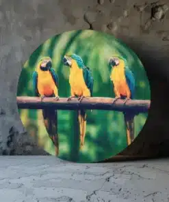 rond-schilderij-met-papegaaien-print op dibond-b