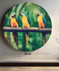 SOLIVA 1021 rond schilderij met papegaaien print op dibond c