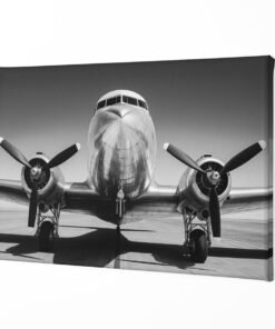 ALIVA 1528 vliegtuig op landingsbaan canvas schilderij a