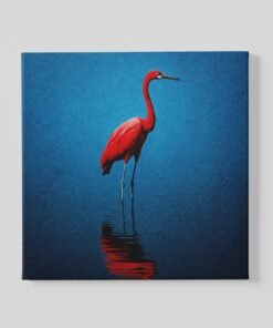Vierkant Canvas Schilderij Rode Kraanvogel