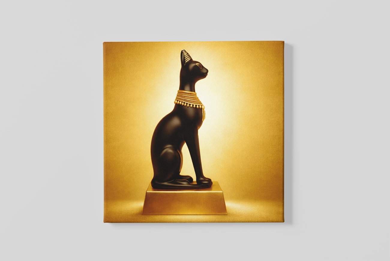 Kattenbeeld Vierkant Schilderij